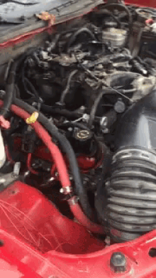 Tour GIF 1